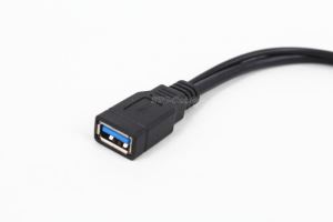 USB 3.0 AF para BM Micro USB 3.0 com USB 2.0 cabo Y